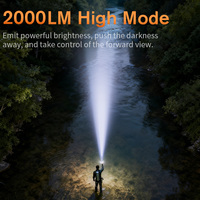 Lampe torche LED professionnelle étanche pour plongée industrielle 2000LM, torche de plongée en alliage d'aluminium, rechargeable par USB, IP68, haute performance sous-marine