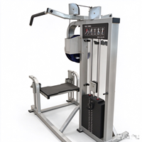 Machine à dips triceps Hammer pour salle de sport, à forte demande, avec coussin confortable, pour l'entraînement de force