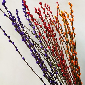 Offre Spéciale coloré préservé salix argyracea fleur véritable naturel préservé de saule pour la décoration du festival - Product Image 2