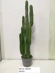 Offre Spéciale grand en plastique <span class=keywords><strong>d</strong></span>'<span class=keywords><strong>intérieur</strong></span> plantes tropicaux <span class=keywords><strong>d</strong></span>écoratifs plantes de cactus en pot - Product Image 6
