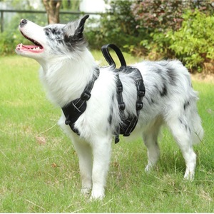 Arnés MOFESIPI para perros grandes, arnés para mascotas a prueba de explosiones con hebilla de metal, correa para perros para entrenar y caminar grandes - Product Image 5