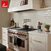 Armoires de cuisine coulissantes Alland Custom en bois véritable stratifié blanc marin, panneaux en contreplaqué, armoires d'îlot de cuisine noires