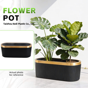 Macetas <span class=keywords><strong>de</strong></span> Plástico Rectangulares Largas para Plantas y Suculentas, Ideales para Dormitorios Pequeños - Product Image 1