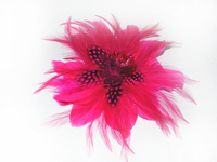 Pince à cheveux fleurie avec plumes pour femme, accessoire de coiffure pour mariée, mariage, cocktail, thé, derby, chapeau de costume