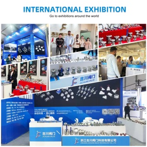 Industrial <strong>Valve</strong> Manual <strong>Ball</strong> <strong>Valve</strong> PN63 SS304 BSP NPT Female Thread Stainless Steel <strong>Mini</strong> <strong>Ball</strong> <strong>Valve</strong> for Water - Product Image 5