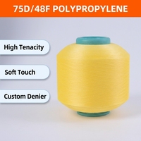 Fil de polypropylène haute ténacité PP FDY 75D/48F haute résistance pour la couture industrielle et les filets