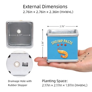 Maceta Cuadrada de Resina con Diseño de Animal Marino Adorable de ROOGO, Mini Maceta de Estilo Retro con Orificio de Drenaje, Decoración Costera para el <span class=keywords><strong>Hogar</strong></span> - Product Image 2
