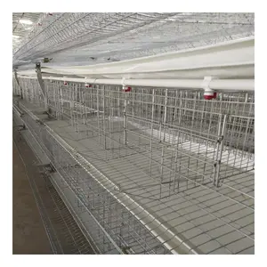 Cages à poulet à batterie automatique pour élevage de volaille