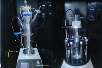 Réacteur photochimique à l'échelle du laboratoire en verre de quartz personnalisé, avec moteur de mélange central et contrôle continu du débit de gaz