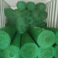 Matelas composite en plastique vert bon marché Érosion de vidange de végétation Géonet 3D pour le contrôle Slop Protéger le paysage