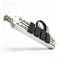 Module à pas variable, module linéaire à pas réglable entraîné par servo, unité de glissement d'arbre à cames pour l'empilage de cellules de batterie