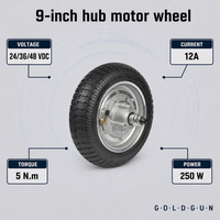 Moteur de moyeu GOLDGUN 9 pouces 24V 36V 48V 250W 5Nm pour trottinette électrique et tondeuse à gazon électrique