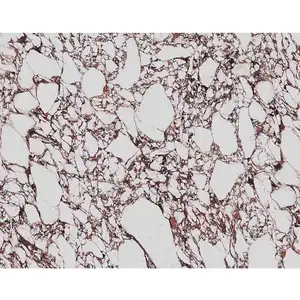 Best Selling Artificial Calacatta Viola Marble Slabs Polished Sintered Stone Wall Tiles