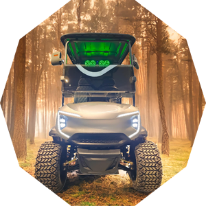 Precio barato al por mayor de fábrica 4000W 2 + 2 asientos 4X4 carrito de golf eléctrico de caza - Product Image 1