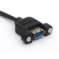 Câble d'extension pour ordinateur, double USB 3.0 femelle vers 20 broches, en cuivre pur tressé