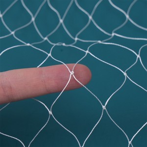 El fabricante de redes de nylon grueso ofrece la venta al por mayor de redes antipájaros para uso en cultivos de huertos, etc. - Product Image 6