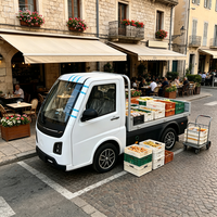 Camionnette électrique à plateau plat Runhorse L7e, mini-véhicule utilitaire électrique municipal, autonomie 201-300 km, puissance 50 kW pour les travaux d'ingénierie urbaine