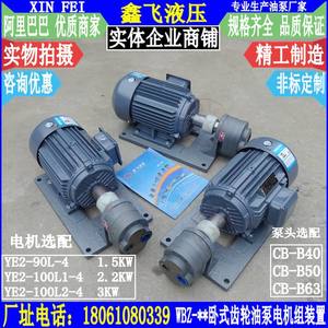 Ensemble moteur de pompe à huile horizontale WBZ-40 WBZ-50 WBZ-63 2,2 kW YE2-100L1-4 pour utilisation en hydraulique - Product Image 1