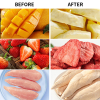 Mini lyophilisateur domestique sans pompe à huile, lyophilisateur automatique 4-8 kg pour la transformation alimentaire en lot (bonbons, lait, viande, fruits, légumes)