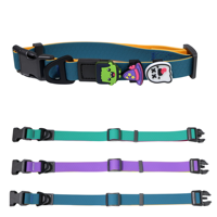Ensemble collier et laisse pour chien DIY, collier pour animal de compagnie réglable en PVC imperméable avec breloques en silicone 3D amovibles, pour toutes les tailles de chiens