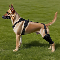 HIPHOPPET Harnais de Genouillère Ajustable en Nylon pour Chien, Fermeture à Boucle à Libération Rapide, pour la Récupération des Blessures à l'Arrière-Queue, Durable