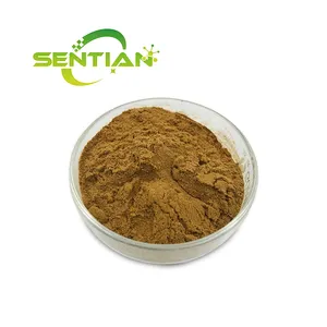 Health Orgnaic 100% natural Cinnamomum Camphora Extract Camphor Tree Extract Cinnamomum Camphora Powder