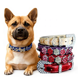 Colliers pour chiens en cuir PU, fabrication originale, vente en gros et personnalisation avec breloques lettres, diverses couleurs et textures sur mesure. - Product Image 1