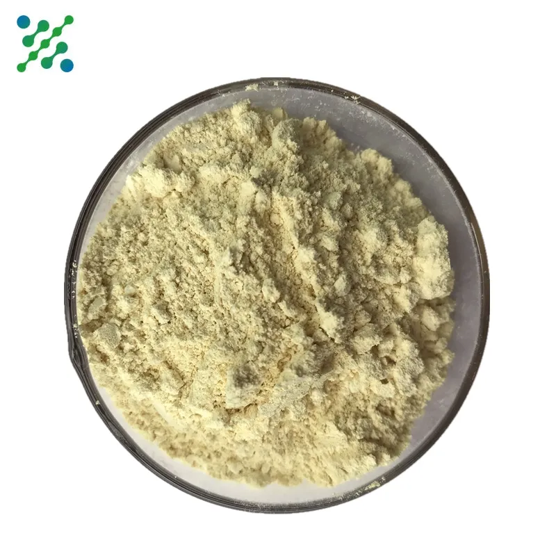 Polvere di estratto di radice di zenzero di alta qualità Gingerol 5% 10% 20%