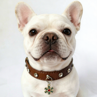 Collier pour chien transfrontalier en plastique couleur unie, anti-étranglement, pour Corgi et Teddy, avec pendentif de Noël, style Ins