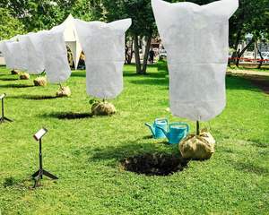 Cubierta universal de protección de plantas de PE con cordón que protege las plantas de las heladas y la congelación del invierno - Product Image 5