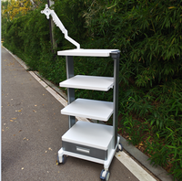 Chariot endoscopique exclusif pour hôpital, organisateur de câbles, roulettes verrouillables et prise intégrée, chariot pour appareil vidéo médical