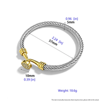 Gedraaide draad titanium stalen armband dames- en herenarmbanden met kabeldraad, drukknoopsluiting, fruitkomvormige handversieringen