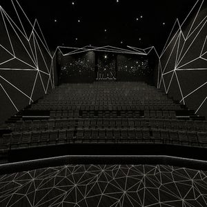 Alfombra de Cine de Alta Calidad Personalizada para Salones de Banquetes, Resistente al Fuego, de Lujo, en Blanco y Negro, de Pared a Pared, de Lana, para Hoteles y Cines - Product Image 4