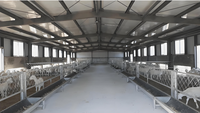 Sistema de Cría Automatizado con Estructura de Acero Ligera y Soldada para Vacas, Cerdos, Pollos, Caballos, Cabras, Graneros, Naves Agrícolas y Aves de Corral