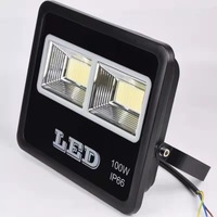 Projecteur LED extérieur haute luminosité 100W/200W COB IP68 étanche, angle de faisceau 144°, télécommande, garantie 5 ans, CRI95 120000