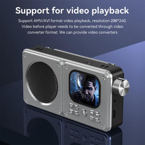 Radio FM Portátil Multifuncional de Metal Recargable con Altavoz BT, Pantalla a Color y Función de Grabación, Reproductor MP3 - Product Image 3