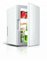 Réfrigérateur miniature professionnel portable sur mesure OEM, alimenté par USB, sans givre, certifié