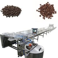 Machine à Déposer les Pépites de Chocolat par Roulement 1200mm avec Garantie d'un An, Machine à Enrober et à Rouler le Chocolat