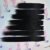Cheveux Bruts Brésiliens Cheveux Humains Bundles Naturel Vrigin Remy 12A Grade Os Droit 100 Grammes
