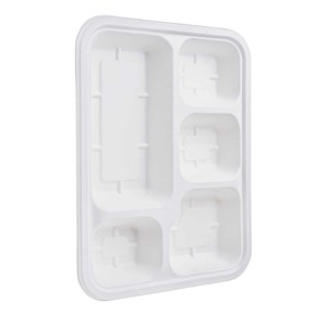 Plateau repas en bagasse 5 compartiments de qualité supérieure 205 mm |   Plateau de service alimentaire jetable écologique |   Prix de gros - Product Image 1