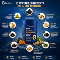 Fabricant OEM ODM, vente en gros directe d'usine, livraison rapide, gommes de Shilajit pur de l'Himalaya 4000mg avec Ashwagandha