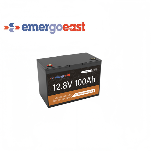 OEM ODM 12V 24V 48V 100Ah 200Ah LiFePO4 LFP Battery Pack Deep Cycle Solar RV Marine Lithium Ion