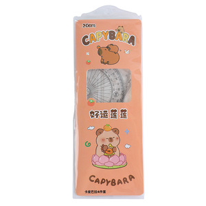 Ensemble de règles Capybara 20 cm en plastique, 4 pièces, pour étudiants et artistes - Product Image 5