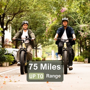 USA Warehouse 48v Emtb Moped Retro Hybrid Bike E-Bike Road Dirt E Ebike Mountain Fat Tire MS-1003 Down Tube Battery E-bike MS-10 - Product Image 2