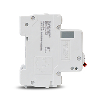 DELIXI-disyuntor DZ47s curvo tipo C, 1 polo, 230/400V, 50HZ, 1A, 2A, 3A, 6A, 10A, 16A, 20A, 25A, 32A, 40A, 50A, 63A, MCB