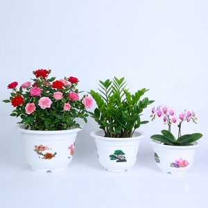Juego de Macetas de Plástico PP Resistente, 9 Tamaños, Color Blanco, con Diseño de Bonsái, Borde Ancho y Base con Patas, para Hogar y Jardín - Product Image 2