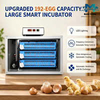 Incubateur automatique haute capacité 192 œufs en acier inoxydable double alimentation (AC220V/DC12V) avec rotation automatique à 360° et contrôle de température OEM