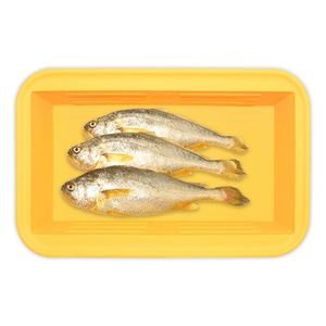Bac de congélation alimentaire en silicone extra-large avec couvercle, pour soupes, bouillons, sauces et glaçons, portions de 1 tasse - Product Image 6