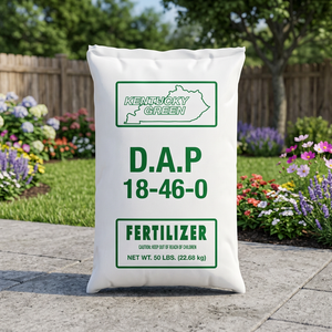 Engrais en poudre de phosphate de diammonium (DAP) TSP de qualité supérieure 18-46-0 |   Engrais à libération rapide de haute qualité à base de phosphore et d'azote - Product Image 3