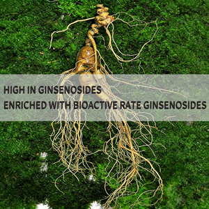 Ginsenosidos Raros con una Pureza Mínima del 70%, 16 Tipos de Ginsenosidos Raros, Extracto de Ginseng, Materia Prima, Fabricante - Product Image 3